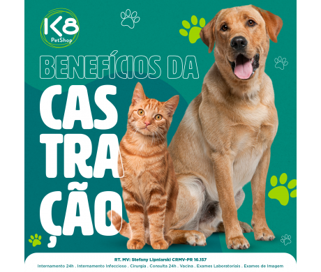 Benefícios da Castração