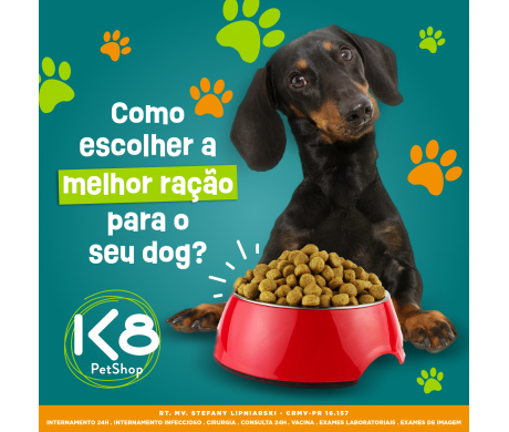 Como escolher a melhor ração para o seu dog?