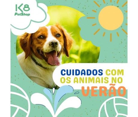 Cuidados com o animais no verão