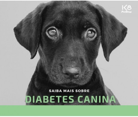 Diabetes Canina